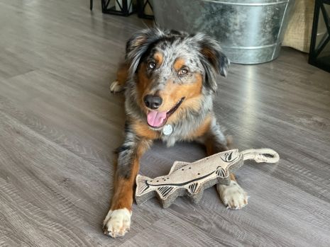 Trout Leather Dog Toy
